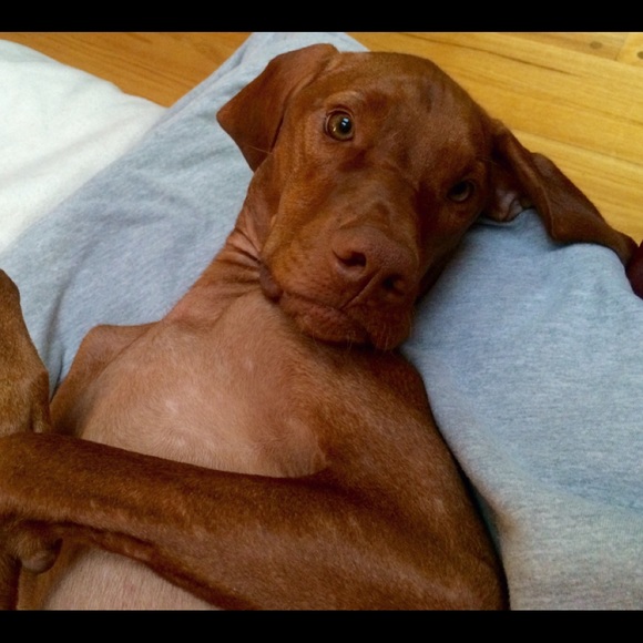 Meet your Posher, Lisa ❤️ - Picture 8 of 8